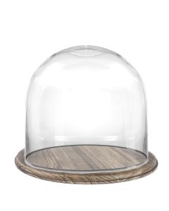 glass dome cloches with Brown Wood base