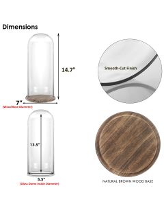 Glass Dome Cloches H-15" D-7" Cloche with Burnt Brown Base (Multiple Packing)