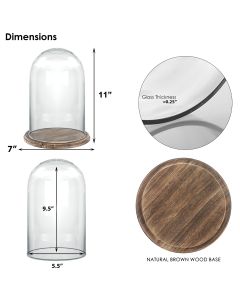 glass dome cloches with Brown Wood base