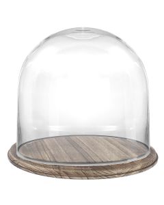 Glass cloches dome with burnt brown wood base