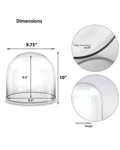 10" x 10" glass dome cloche