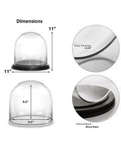 Glass Dome H-11" D-11" Cloche Bell Showcase Display with Black Wood Base