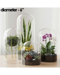 glass domes