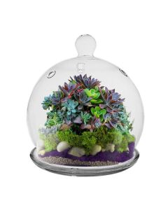 Glass Mini Cloche H-6" Open-4.25", Pack of 6 pcs