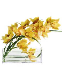glass rectangle vase