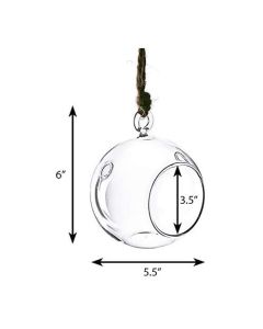 hanging glass terrarium round orbs