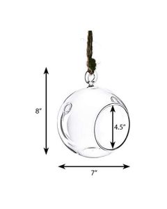 Plant Terrarium Glass Orbs wholesale bulk