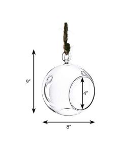 Hanging-glass-plant-terrarium-glass-orbs-gch101-08