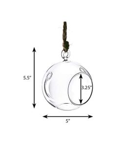 hanging glass terrarium round orbs 