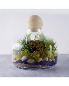 glass terrarium vase