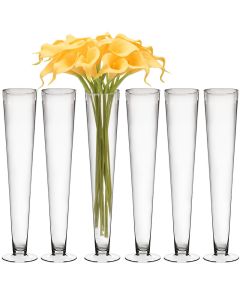 Clear Glass Trumpet Vase 24 inch