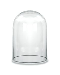 Glass cloches domes display wood base black