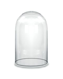 Glass cloches domes display wood base black