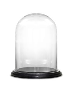 Glass cloches domes display wood base black