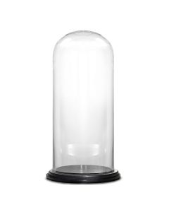 glass cloche dome with wood base