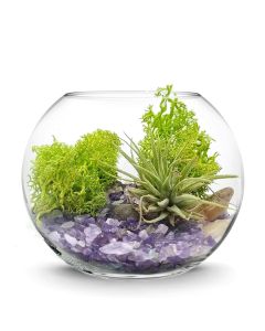 glass bubble bowl