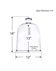 large glass cloches dome display