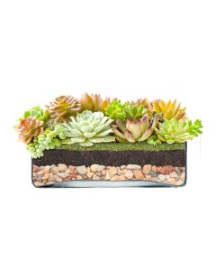 glass square vases wide opening
