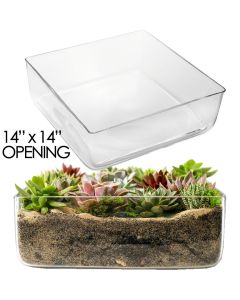 glass square vase wide opening