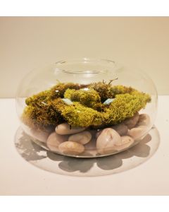Mini Flat Sphere Habitat Terrarium Tea Light Holder Duo Use H-4.5" x 7.5"