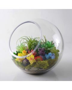 slant-cut-glass-bubble-bowl-terrarium