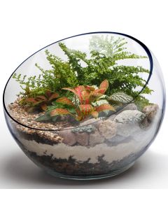 Glass Slant Cut Bowl. H-11" D-12" Tilted Bowl Terrarium