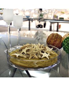 vase-filler-natural-knobby-starfish-VFSF01/02