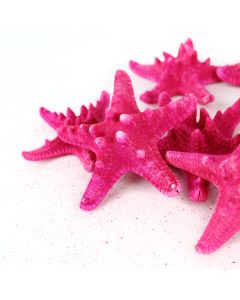vase-filler-colored-knobby-starfish-VFSF01/04FU