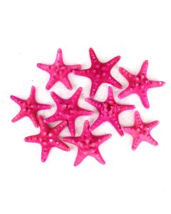 vase-filler-colored-knobby-starfish-VFSF01/04FU