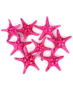 vase-filler-natural-knobby-starfish-VFSF01/05fu