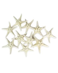 vase-filler-colored-knobby-starfish-VFSF01/05wt