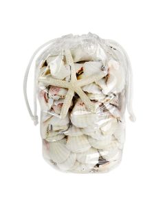 seashell-mix-vfss2002-00