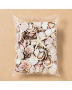 seashell-mix-vfss2002-00