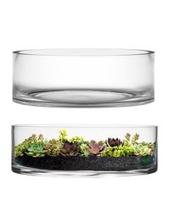 Glass cylinder vases