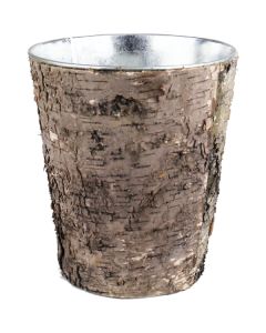  Birch Bark Cylinder Flower Pots Centerpieces 8" Tall
