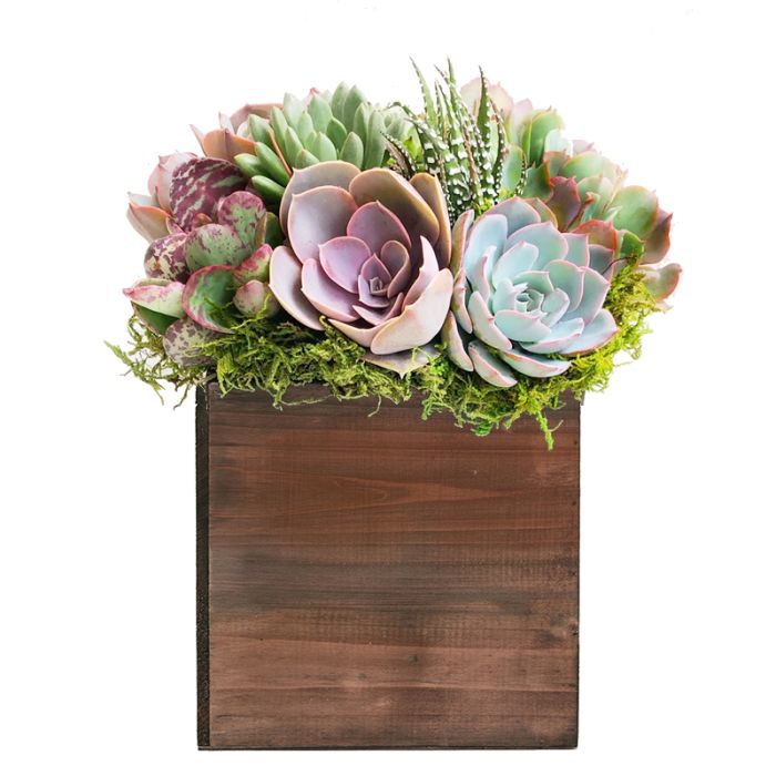 wood cube planter box 