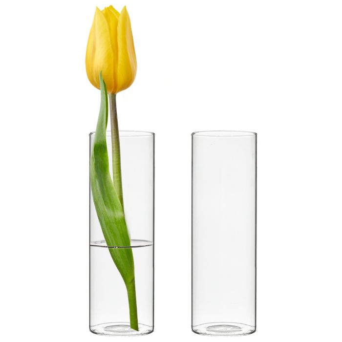 glass bud vases