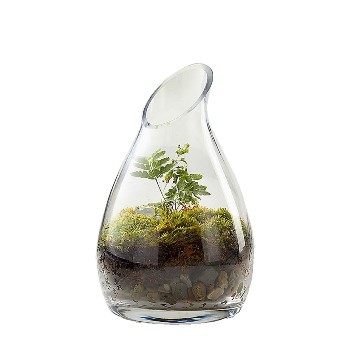 glass-carafe-vase-gcu191