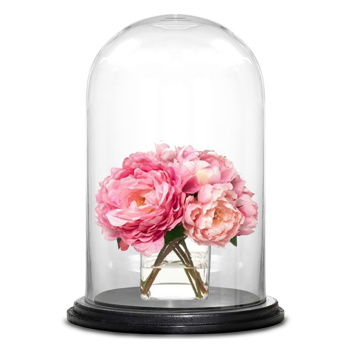 Glass Dome Cloche Bell Showcase Display w/ Black Wood Base
