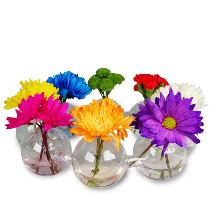 glass-circular-linked-bud-vase-gch701-03