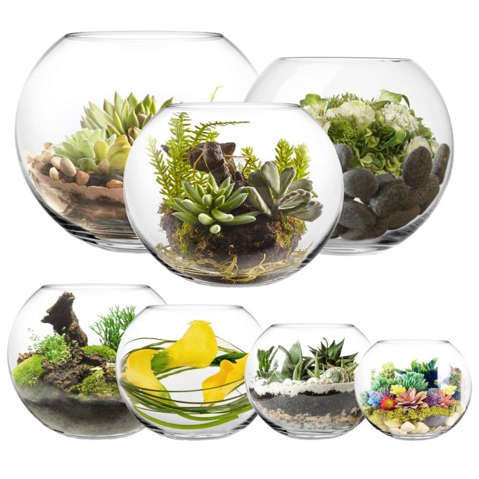 Round Fish Bowl, Clear Aquarium Fish Tank, Small Aquariums, Flower Vase