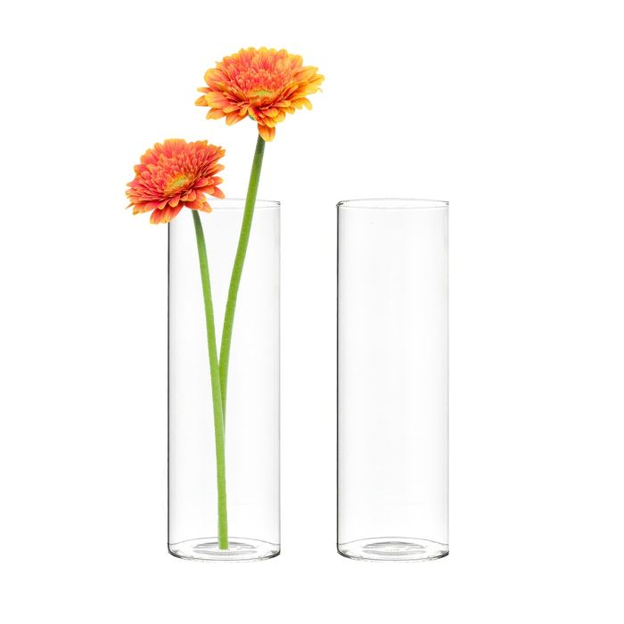 glass cylinder vases