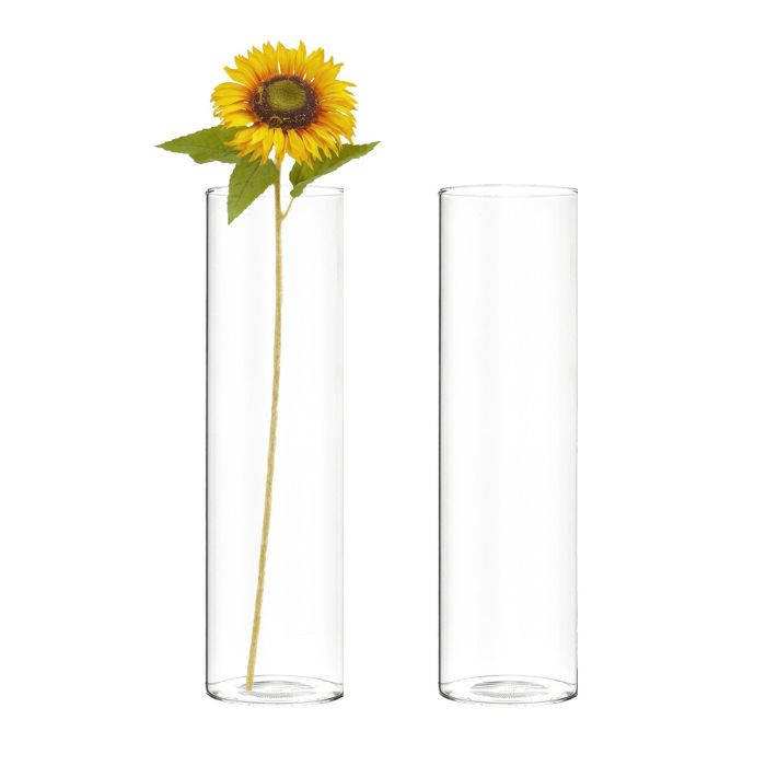 glass cylinder vases
