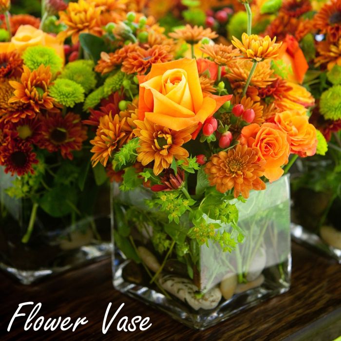 Clear Glass Cube Vases | 5” H x 5” L x 5” W | Pack of 12 | Perfect
