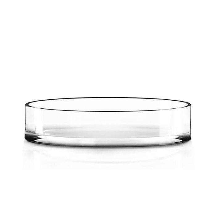 Glass Cylinder Vase. D-8" H-2", Wedding Centerpieces, Pack of 12 pcs