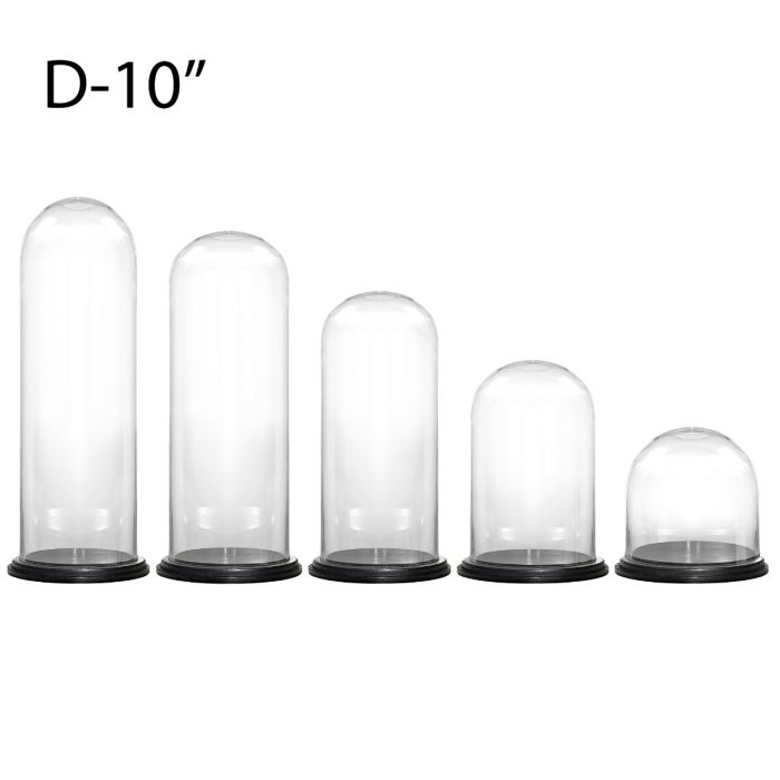 Diameter 10" glass dome cloches with black wood base have multiple height -11",16",20",25",29"