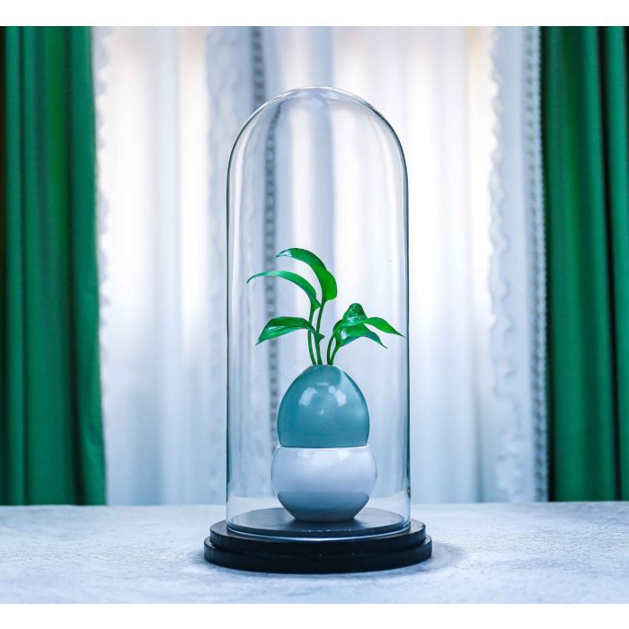 Hand-Blown Glass Dome Cloche