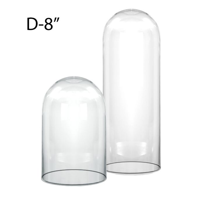8" Wide Glass Display Dome Cloche Bell Jar (Pack of 2) (2 Size Options)