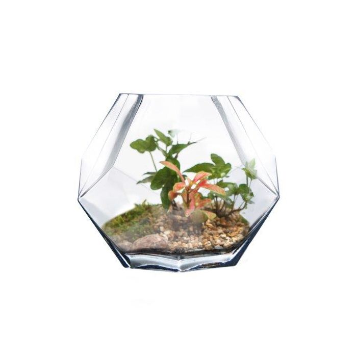 glass geometric terrarium vases
