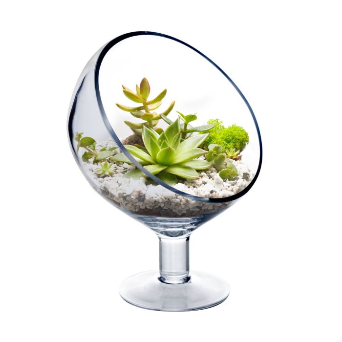 slant cut bowl with pedestal stem